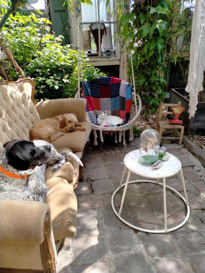 Mimi La Sardine Bed and Breakfast Saint-Gervais en-Belin Εξωτερικό φωτογραφία